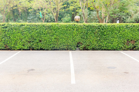 Empty space parking lot outdoor in public park.の写真素材