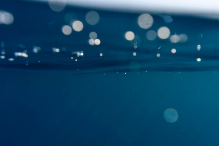 The beautiful underwater landscape viewの写真素材