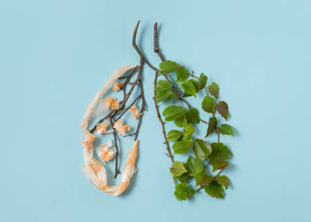 Still life sustainable lifestyle elements arrangementの写真素材