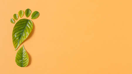 Still life sustainable lifestyle elements arrangementの写真素材