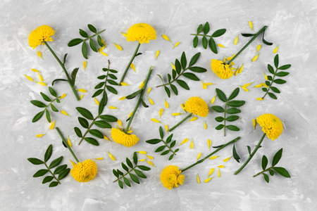 Flat lay flowers collection on tableの写真素材