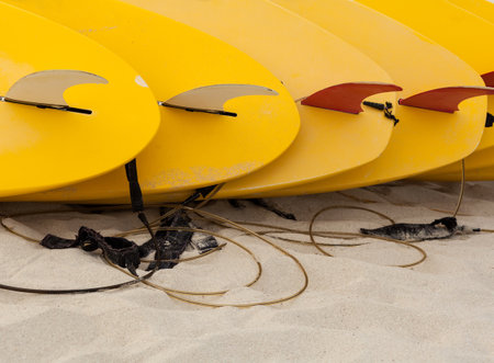 Surfboards put on the beach.の写真素材