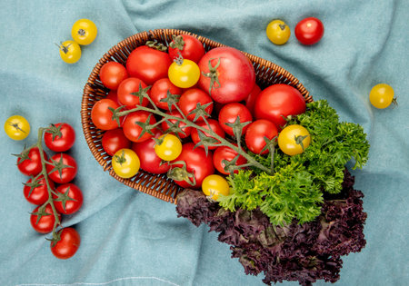 top view of vegetables as tomatoes coriander basil in basket with tomatoes on blue cloth backgroundの写真素材