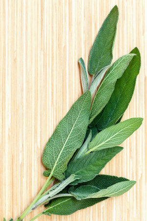 Alternative mediterranean medicinal plants Salvia officinalis or sage for medicinal and culinary use on wooden background.の写真素材