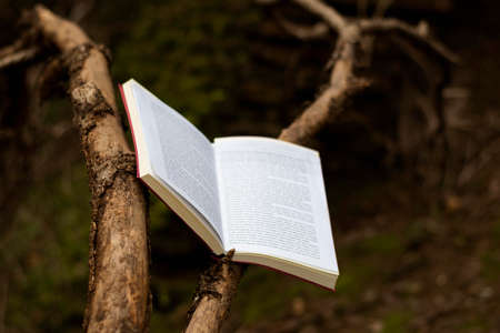 The books imagination still lifeの写真素材