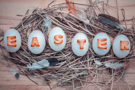 Easter eggs on the nest. Easter eggs for Easter holidays design. Easter eggs with abc cookie text.の写真素材