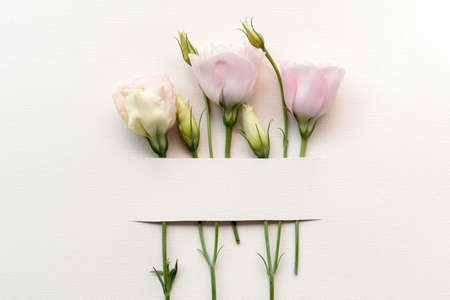The beautiful natural flowers bouquet