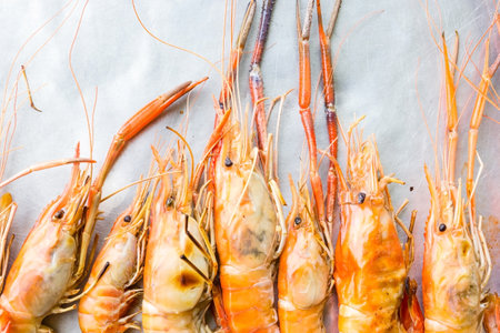 River shrimp or river prawn grilled barbecue seafoodの写真素材