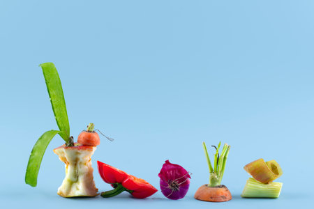 Arrangement compost made rotten food with copy space