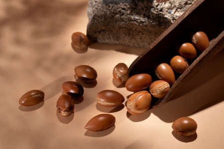 The arrangement natural argan seedsの写真素材