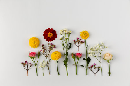 Flat lay flowers collection on table
