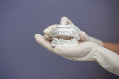 Dentist hand with plaster modelの写真素材