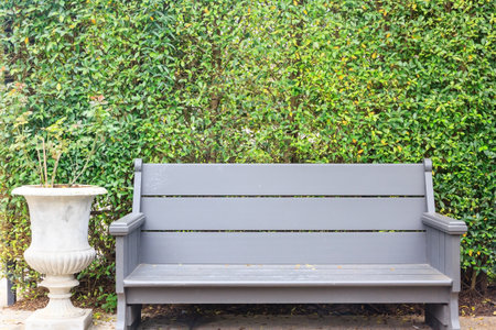 Pitch chair with wall covered with ivyの写真素材