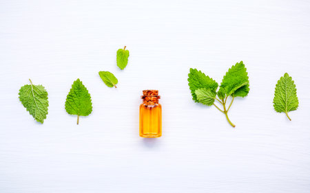 Bottle of essential oil with fresh lemon balm leaves setup with flat lay on white wooden table....