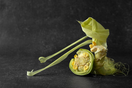 Arrangement compost made rotten food with copy spaceの写真素材