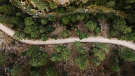 Aerial scenery view of forestsの写真素材