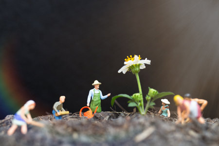 Miniature people , Gardeners take care growing plants in The field , Environment conceptの写真素材