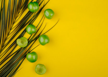 top view of sour green plums with palm leaf on yellow background with copy spaceの写真素材