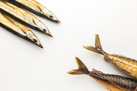 Flat lay fishes white backgroundの写真素材