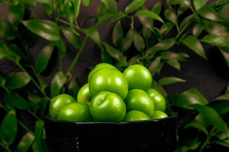 side view of sour green plums in a bowl at green leaves backgroundの写真素材