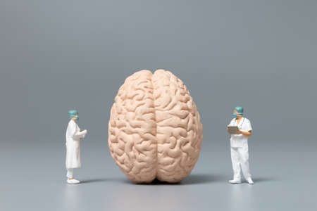 Doctor and nurse observing and discussing about human brain
