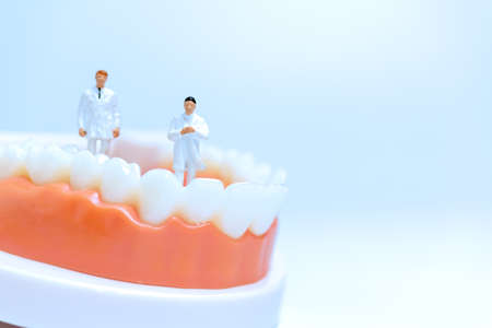 Miniature people : Dentist observing and discussing about human teeth with gums