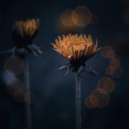 yellow flower in the spring season