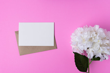 Blank paper with flowers placed on a pink backgroundの写真素材