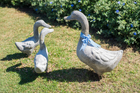 cement white Duck statue in gardentの写真素材