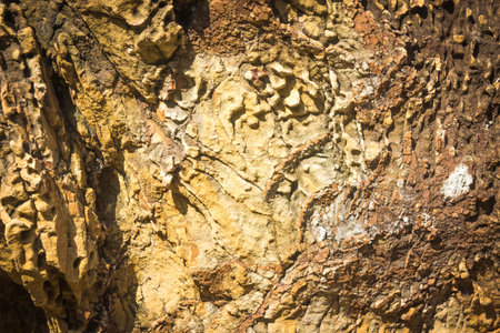 Stone or rock texture and background.