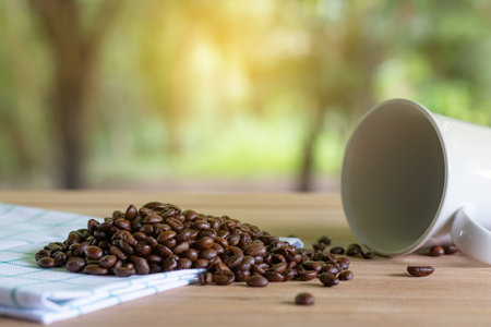 Roasted coffee beans with coffee cup on wooden and nature background.の写真素材