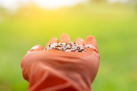 Macro shot of hand holding mixed chemical fertilizer. Minerals used in agriculture, farms, fields.