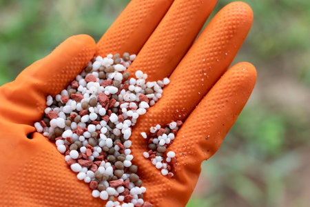Chemical fertilizer at the hands of farmers with nature background.の写真素材