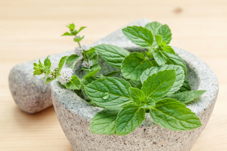 Closeup fresh peppermint leaves in the white mortar with pestle on bamboo cutting board . Shallow...