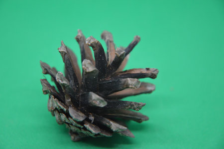 Macro photography of objects on a the green backgroundの写真素材