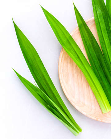 Pandan leaves 's herbal ingredient for dessert ,tea and aromatherapy. Sweet and earthy aroma .