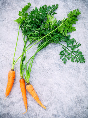 Fresh carrots bunch on wooden table. Raw fresh carrots with tails. Fresh organic carrots with leaves. Bunch of fresh carrots with green leaves on wooden background.の写真素材
