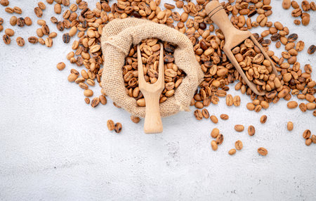 Roasted coffee beans with scoops setup on white concrete background.の写真素材