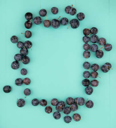 top view of the small dark globose astringent fruit sloes isolated on a blue background with copy spaceの写真素材