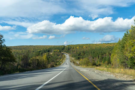 Landscape with a motorway in the middle of an autumn forest.の写真素材