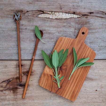 Alternative medicine and seasoning - Branch of fresh sage and dried tied sage set up on old wooden table.の写真素材