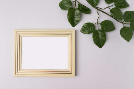 white photo frame and leaf branches on white backgroundの写真素材