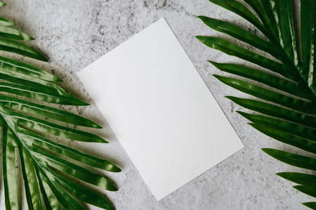 A blank card with envelope and leaf is placed on white background