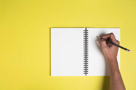 Woman's hands with blank notebookの写真素材