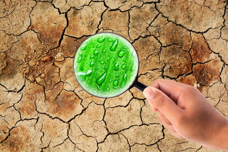 hand holding magnifying find water on dry cracked the earth