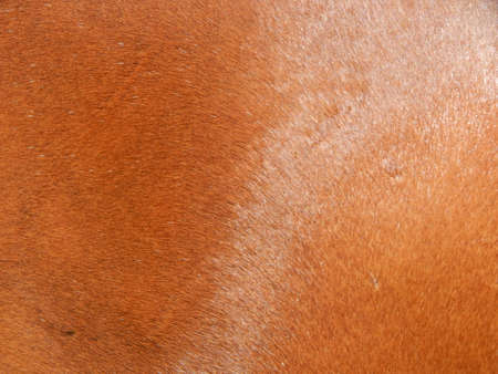 Graphic resources design composition and textureの写真素材