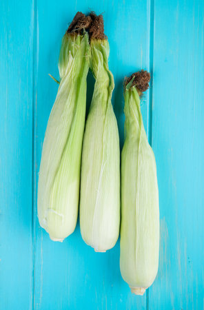 top view of corn cobs on blue background 1の写真素材