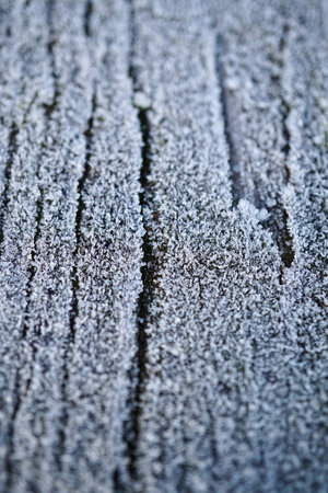 ice on the wooden groundの写真素材