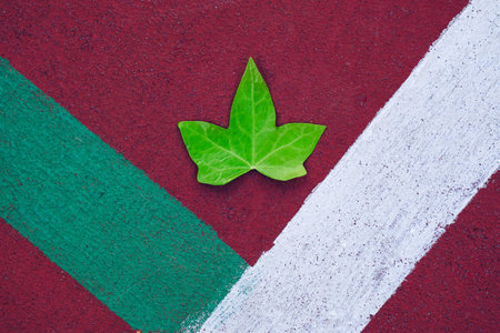 green tree leaf on the red ground in spring season