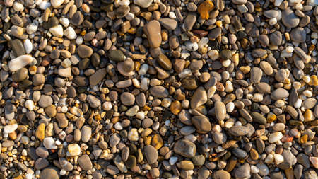 Natural background with small sea pebbles on the beach.